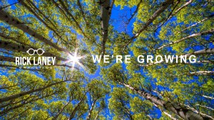 We’re Hiring: Designer/Graphic Artist